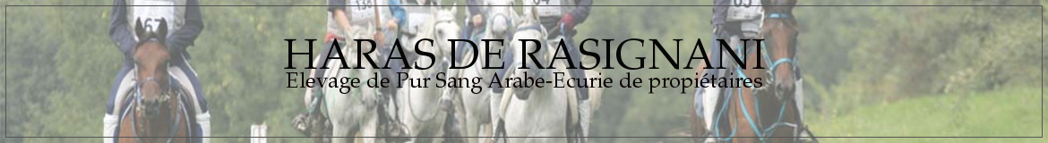 HARAS DE RASIGNANI